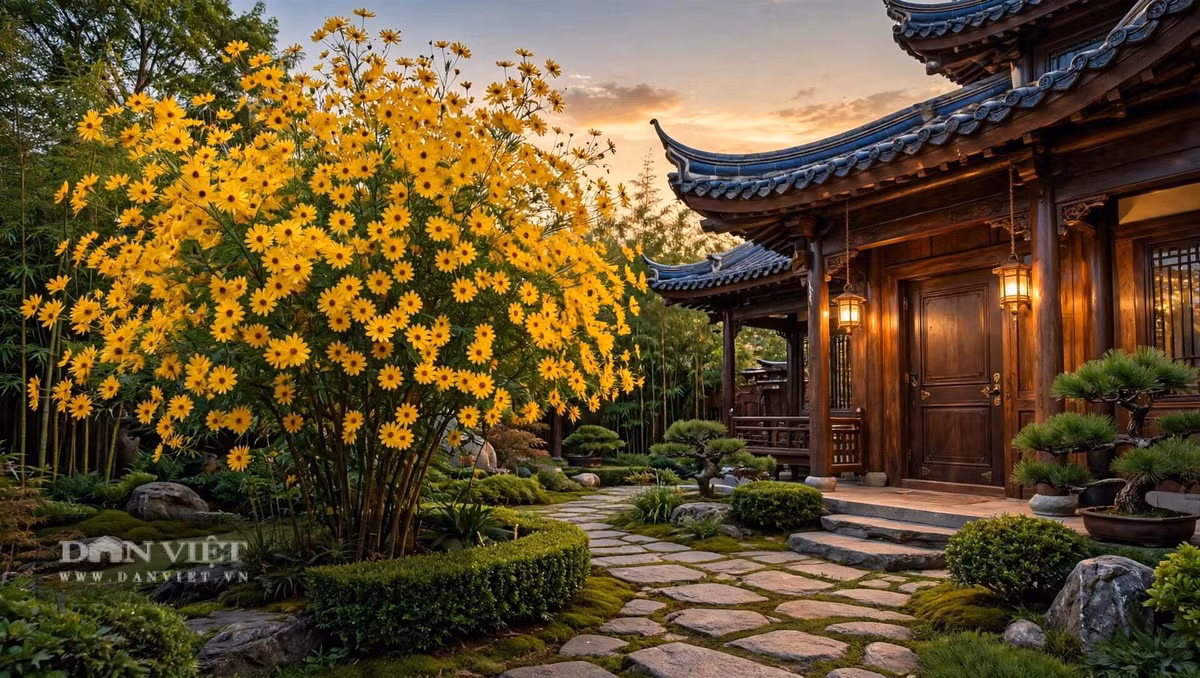 Cây cảnh này vô cùng dễ chăm sóc