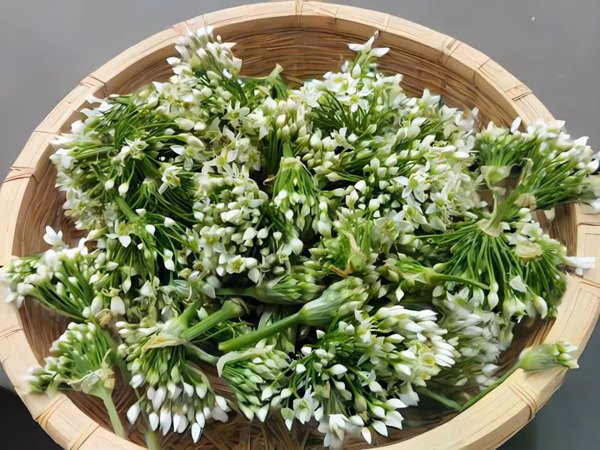 Loại rau này là lời mời gọi ngon lành đầu tiên của thiên nhiên sau khi mùa thu