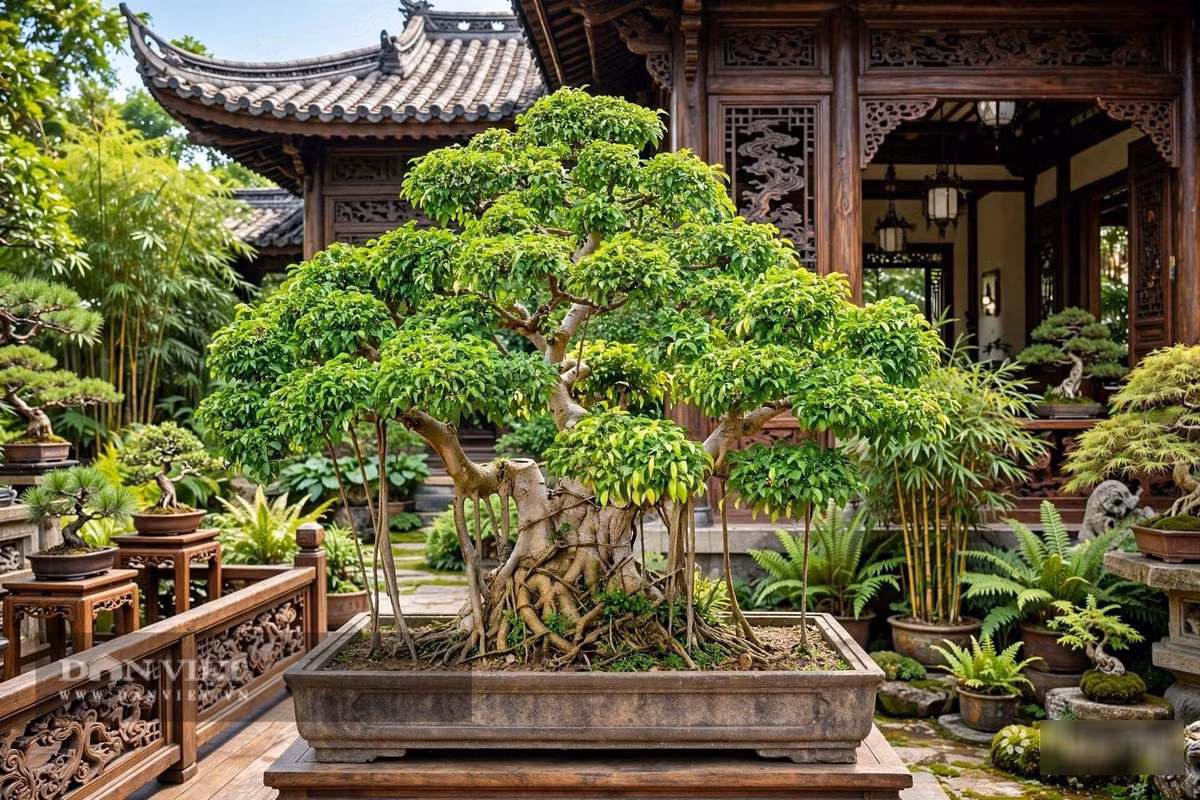 Chơi sanh, ta học được đức tính bao dung
