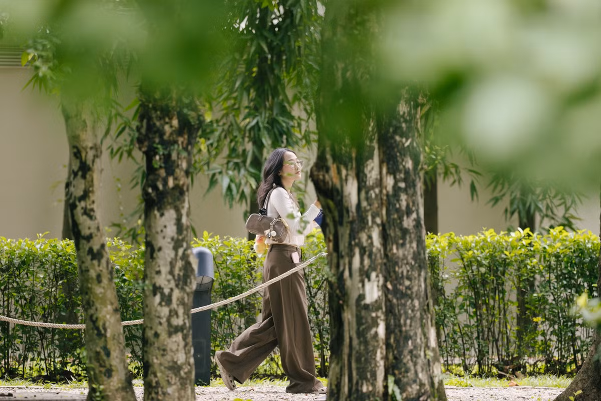 Bước qua cánh cổng chính, không gian ồn ào của đô thị lập tức nhường chỗ cho bầu không khí mát lành của khu vườn cổ thụ. Mảng xanh tại đây ghi dấu sự giao thoa văn hóa Việt - Pháp khi quanh khu vườn là những loài cây cỏ gần gũi của làng quê Việt Nam.