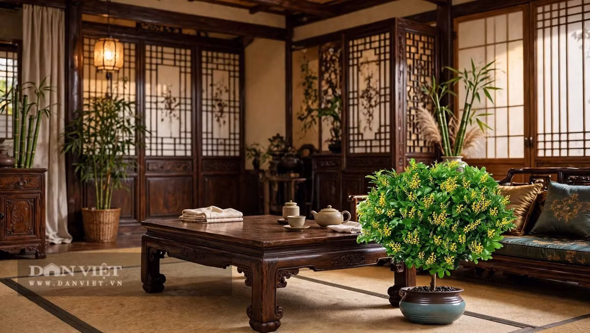 Cây cảnh ghét đất kiềm
