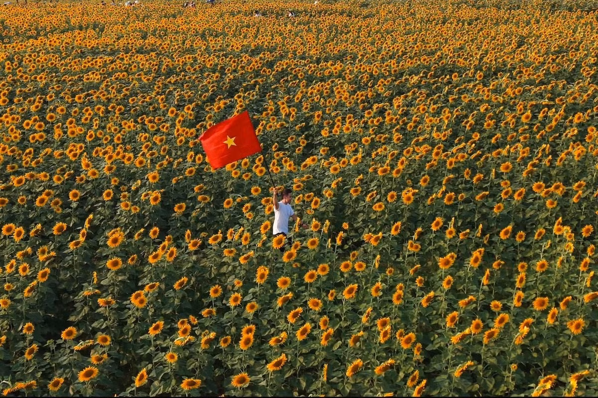 Cách Hà Nội 250 km và trung tâm TP Vinh (cũ) 90-100 km, du khách có thể di chuyển bằng xe khách hoặc ô tô, xe máy theo hướng Vinh - đường Hồ Chí Minh - Nghĩa Đàn để đến tham quan cánh đồng. Đường đi khá thuận tiện, dễ tìm. Hiện khu vực này chưa phát triển dịch vụ ăn uống hay lưu trú, du khách nên tìm chỗ nghỉ tại trung tâm TP Vinh (cũ) hoặc thị xã Thái Hòa (cũ), sau đó di chuyển đến đây vui chơi trong ngày. Ảnh: Quang Kiên.