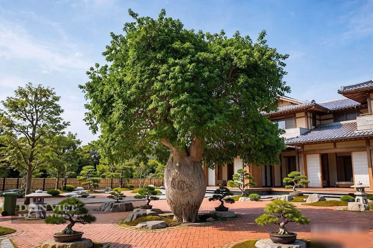 Đó là một vẻ đẹp gai góc, có phần thô ráp,
