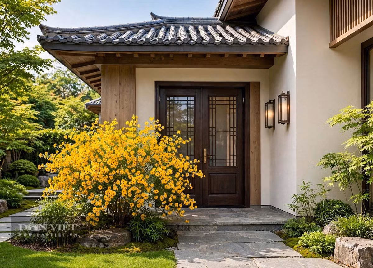Nhìn từ xa, cả cây cảnh như một đám mây vàng