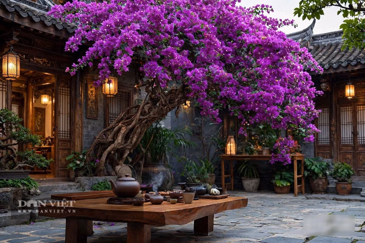 Hãy chọn chậu nhỏ hơn bạn nghĩ.