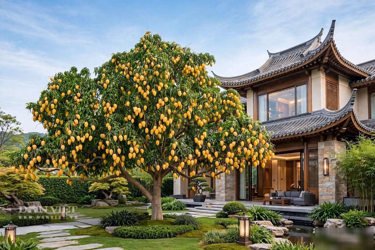 Cây cảnh dạy ta một triết lý
