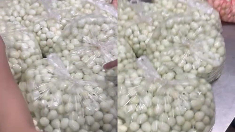 Hàng loạt túi lớn đựng trứng cút luộc sẵn bốc mùi hôi, chảy nước bị phụ huynh phát hiện trong khu bếp ăn của Trường tiểu học Cự Khê. a1.jpg