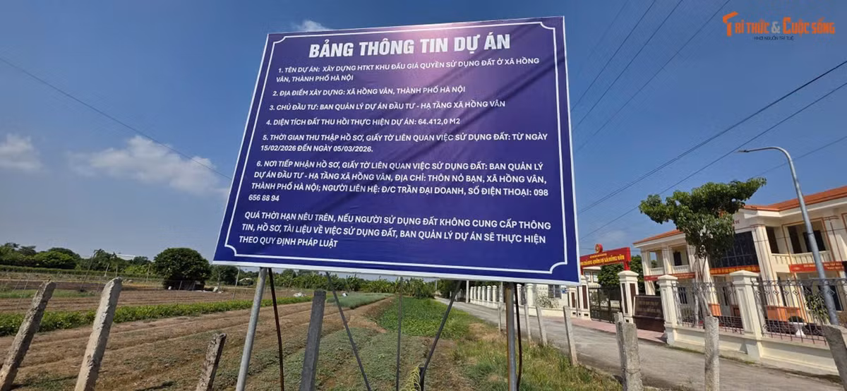 Gallery - 'Tận mục' dự án đấu giá đất hơn 200 tỷ ở khu du lịch Hồng Vân - image 1