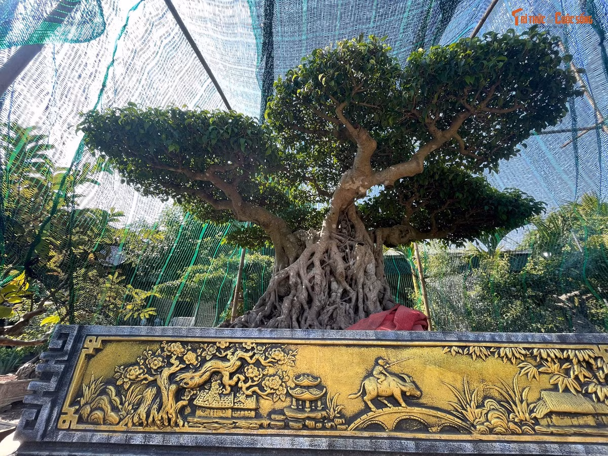 Gallery - 'Tận mục' dự án đấu giá đất hơn 200 tỷ ở khu du lịch Hồng Vân - image 8