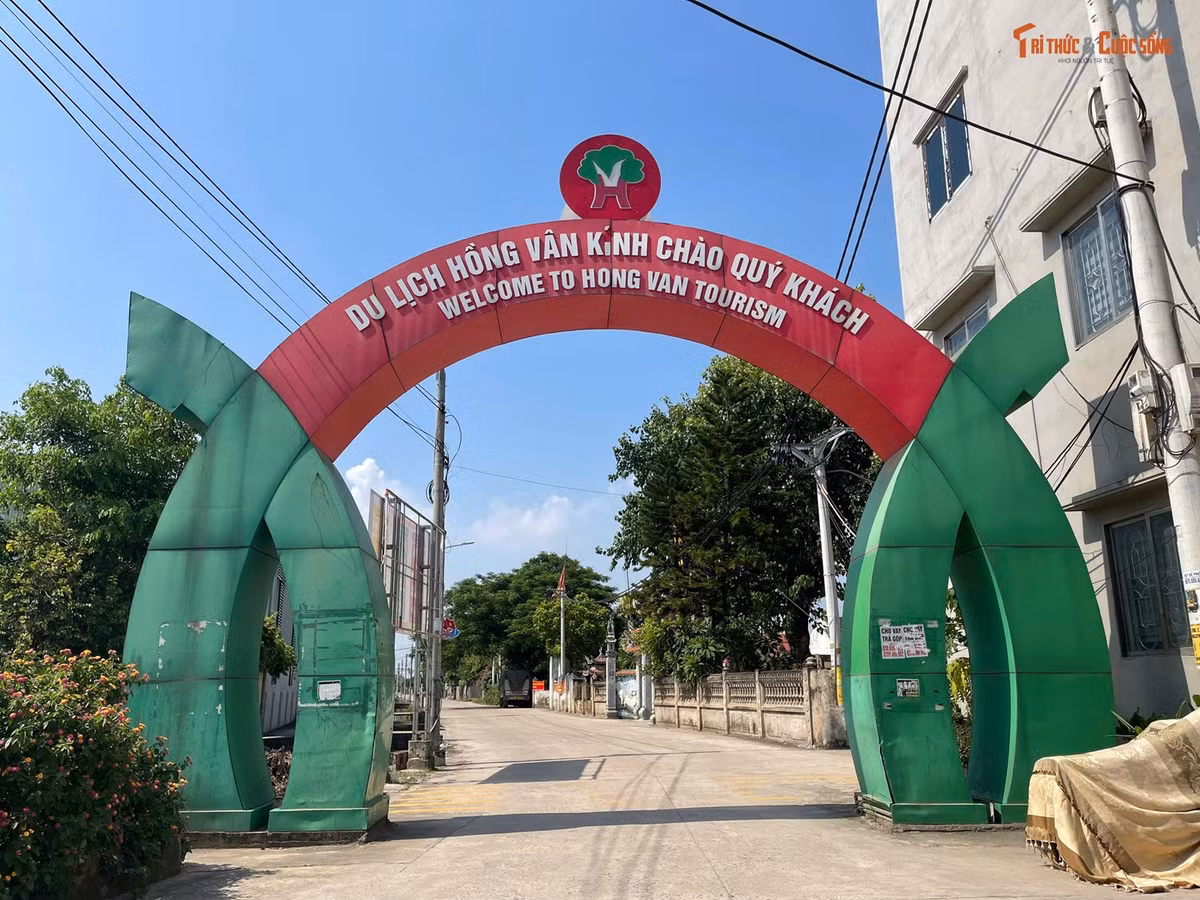 Gallery - 'Tận mục' dự án đấu giá đất hơn 200 tỷ ở khu du lịch Hồng Vân - image 9