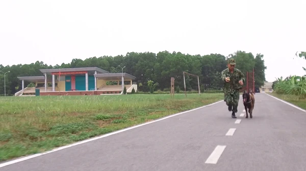 Chó nghiệp vụ bật tường 2 m, chạy 3 km chuẩn bị cho Army Games 2020