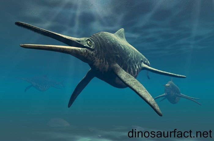 Đóng vai trò quan trọng trong hệ sinh thái kỷ Triassic. Shonisaurus là kẻ săn mồi đỉnh cao, ảnh hưởng lớn đến cấu trúc quần xã sinh vật biển thời đó. Ảnh: Pinterest.