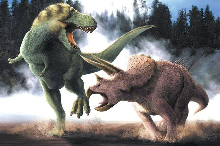 8. Là biểu tượng văn hóa đại chúng. Triceratops xuất hiện trong nhiều phim ảnh, truyện tranh và đồ chơi, nổi bật như một biểu tượng khủng long hiền lành nhưng mạnh mẽ, đối lập với khủng long ăn thịt. Ảnh: Pinterest.