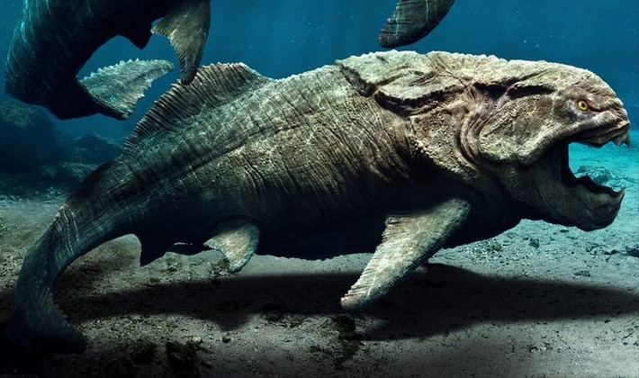 1. Là “quái vật” thống trị biển cả cách đây hàng trăm triệu năm. Dunkleosteus sống vào cuối kỷ Devon, khoảng 358–382 triệu năm trước, là một trong những loài săn mồi đầu bảng thời kỳ này. Ảnh: Pinterest.