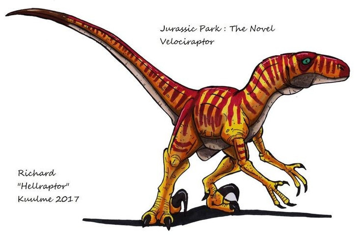 4. Bộ vuốt cong hình liềm là vũ khí đáng gờm. Mỗi chân sau của Velociraptor có một móng vuốt lớn, sắc nhọn, có thể dùng để đâm và giữ chặt con mồi. Ảnh: Pinterest.