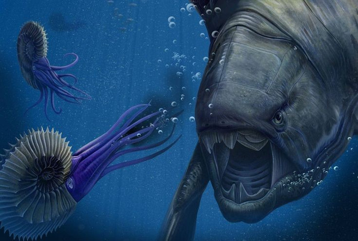 8. Là biểu tượng của “Kỷ nguyên Cá”. Dunkleosteus là đại diện tiêu biểu cho lớp cá bọc giáp – Placodermi – và thường được xem là biểu tượng cho sự tiến hóa của cá săn mồi cổ đại. Ảnh: Pinterest.