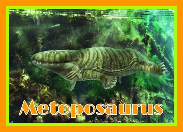 1. Metoposaurus là loài lưỡng cư khổng lồ. Chúng có thể dài tới 3 mét, với hộp sọ rộng phẳng, trông giống một sinh vật lai giữa cá sấu và kỳ nhông. Ảnh: Pinterest.
