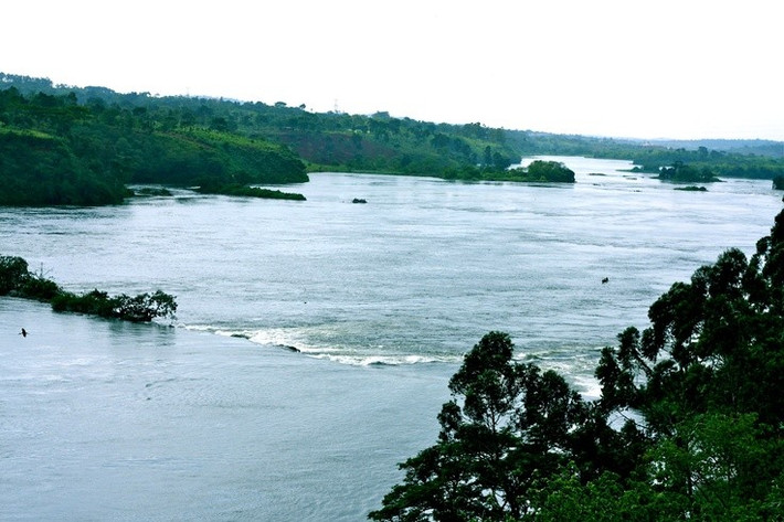 4. Hàng năm, sông Nile từng lũ lụt theo chu kỳ. Trước khi có đập Aswan, sông Nile lũ theo mùa từ tháng 6 đến tháng 9, mang theo phù sa màu mỡ giúp canh tác và lịch pháp nông nghiệp phát triển. Ảnh: Pinterest.