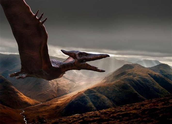 8. Từng bị nhầm lẫn với loài khác. Trong lịch sử nghiên cứu, nhiều hóa thạch Pteranodon ban đầu bị phân loại sai hoặc nhầm với loài bò sát bay khác, cho đến khi các đặc điểm riêng biệt được làm rõ vào cuối thế kỷ 19. Ảnh: Pinterest.