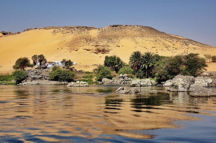 7. Hệ sinh thái sông Nile rất đa dạng. Sông Nile là nơi cư trú của hàng trăm loài động thực vật, trong đó có cá sấu sông Nile khét tiếng, hà mã, cò thìa và nhiều loài thủy sinh bản địa quý hiếm. Ảnh: Pinterest.