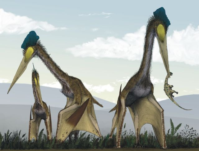 7. Là biểu tượng trong nghiên cứu cổ sinh. Quetzalcoatlus được coi là minh chứng cho sự đa dạng tiến hóa của các loài pterosaur và thường xuất hiện trong các tác phẩm khoa học phổ biến. Ảnh: Pinterest.