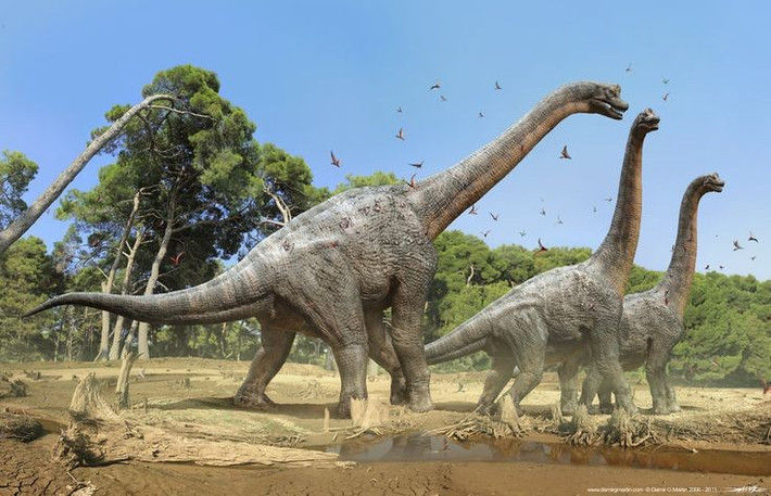 5. Là loài ăn cỏ hoàn toàn. Brachiosaurus chỉ ăn thực vật như lá cây, dương xỉ và cành non. Chúng tiêu thụ khối lượng thức ăn lớn mỗi ngày để duy trì cơ thể đồ sộ. Ảnh: Pinterest.