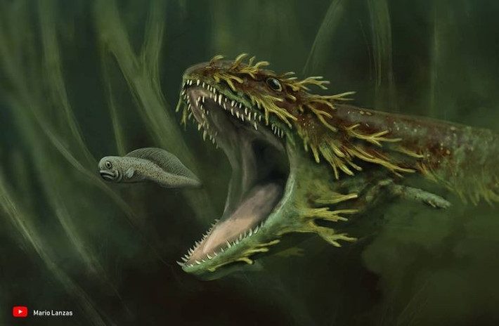 3. Có hộp sọ lớn và hàm cực khỏe để săn mồi. Hộp sọ của Crassigyrinus dài tới 30 cm, với răng nanh nhọn cong hướng vào trong giúp giữ chặt cá và động vật thủy sinh khi cắn. Ảnh: Pinterest.