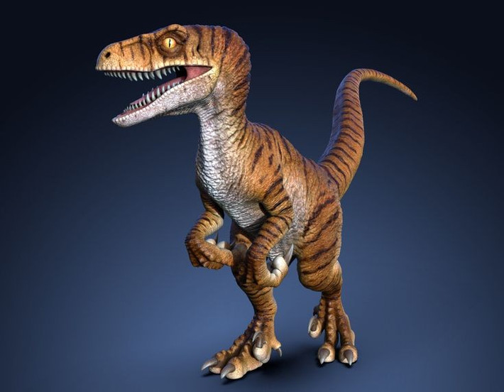 1. Velociraptor nhỏ hơn nhiều so với tưởng tượng. Thay vì cao như người lớn như trong phim, Velociraptor thật chỉ cao khoảng 0,9 mét và dài khoảng 2 mét, nặng chưa đến 20kg. Ảnh: Pinterest.