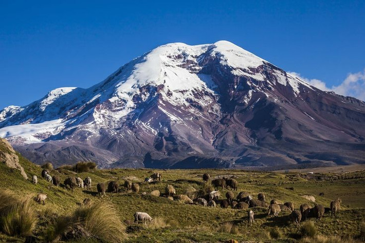 5. Alexander von Humboldt từng leo lên Chimborazo. Nhà tự nhiên học người Đức đã thực hiện một chuyến leo núi huyền thoại vào năm 1802 và gần như đến được đỉnh, đánh dấu một mốc lịch sử trong ngành địa lý. Ảnh: Pinterest.