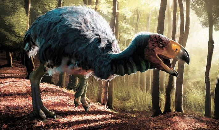 1. Gastornis là loài chim không biết bay khổng lồ. Loài chim này cao tới 2 mét, nặng hơn 150 kg, sống ở châu Âu và Bắc Mỹ khoảng 56–41 triệu năm trước, thuộc thời kỳ Paleocen–Eocen. Ảnh: Pinterest.