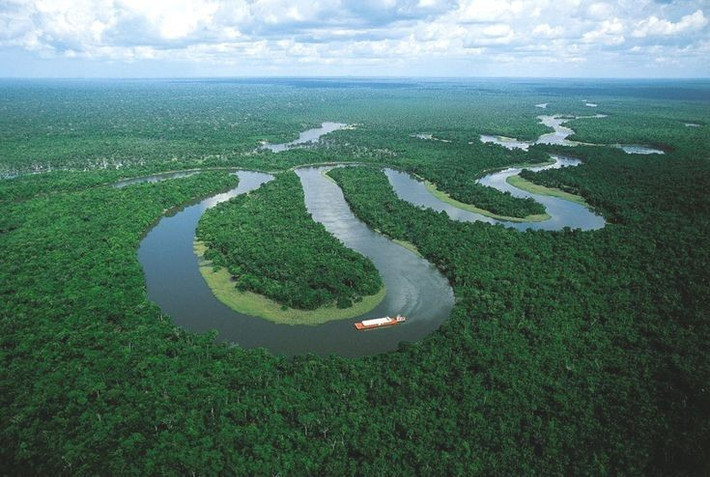3. Có thể sánh với sông Nile về chiều dài. Dù thường được xem là dài thứ hai sau sông Nile, nhưng một số phép đo hiện đại cho thấy Amazon có thể còn dài hơn cả sông Nile. Ảnh: Pinterest.