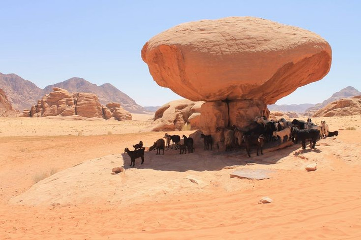 4. Là bối cảnh của nhiều bộ phim Hollywood đình đám. Wadi Rum trở thành bối cảnh của các phim như “Lawrence of Arabia”, “The Martian” và “Dune” nhờ khung cảnh hùng vĩ và siêu thực. Ảnh: Pinterest.