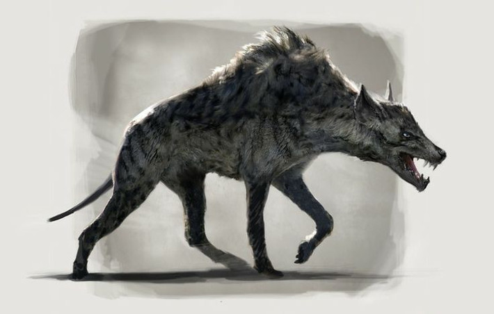  1. Hyaenodon không phải là tổ tiên của linh cẩu. Dù tên gọi có phần dễ gây nhầm lẫn (linh cẩu là hyena trong tiếng Anh), Hyaenodon không hề có quan hệ gần gũi với loài linh cẩu hiện đại mà thuộc về họ Hyaenodontidae, một nhánh thú ăn thịt riêng biệt đã tuyệt chủng. Ảnh: Pinterest.