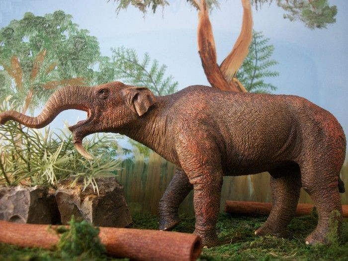 8. Bí ẩn về sự tuyệt chủng. Nguyên nhân chính xác khiến Deinotherium biến mất vẫn chưa rõ, có thể liên quan đến biến đổi khí hậu và cạnh tranh thức ăn với các loài khác. Ảnh: Pinterest.