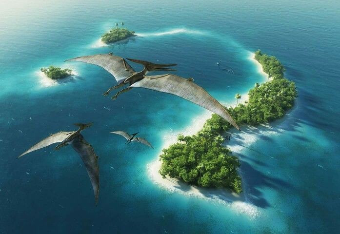 5. Được cho là có thể bay hàng trăm km. Nhờ đôi cánh dài và nhẹ, Pteranodon có khả năng bay lượn đường dài, tận dụng luồng gió để di chuyển mà không tốn nhiều năng lượng. Ảnh: Pinterest.