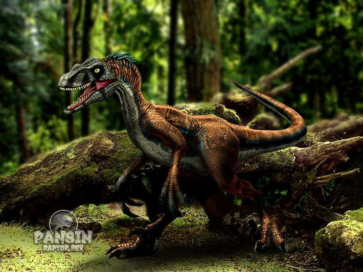 8. Velociraptor sống ở châu Á, không phải Bắc Mỹ. Hóa thạch của loài này chủ yếu được tìm thấy tại Mông Cổ và Trung Quốc, khác hẳn với khung cảnh rừng rậm Bắc Mỹ trong các bộ phim. Ảnh: Pinterest.