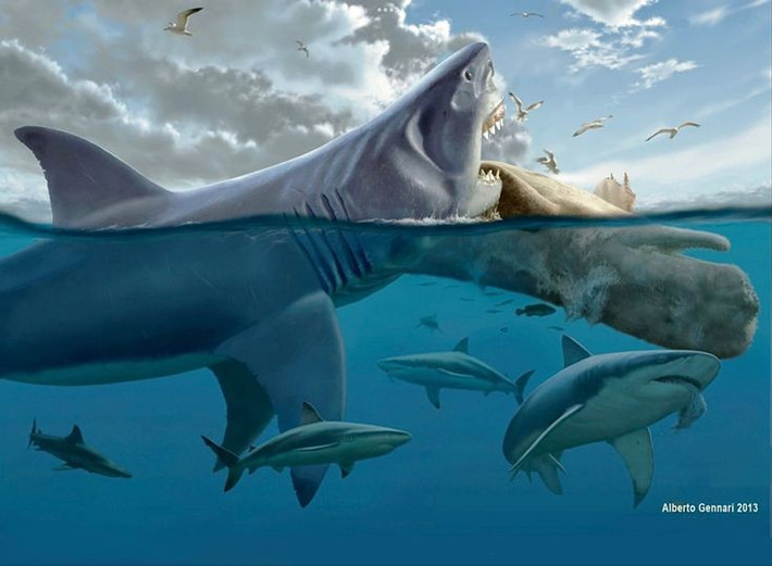  1. Là loài cá mập lớn nhất từng được biết đến. Megalodon có thể dài tới 18 mét và nặng hơn 50 tấn, to gấp nhiều lần cá mập trắng lớn hiện đại, khiến nó trở thành quái vật đại dương thực sự. Ảnh: Pinterest.