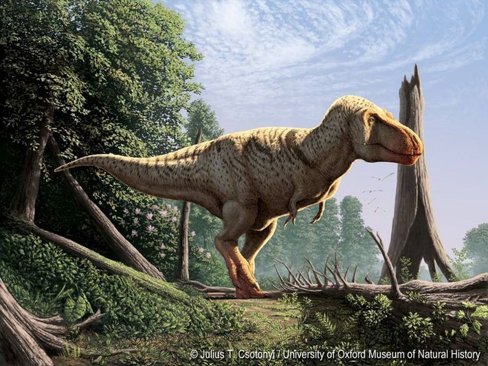 1. Không phải khủng long ăn thịt lớn nhất. Dù rất nổi tiếng, T. rex không phải loài khủng long ăn thịt lớn nhất, mà Spinosaurus mới giữ kỷ lục về kích thước. Ảnh: Pinterest.