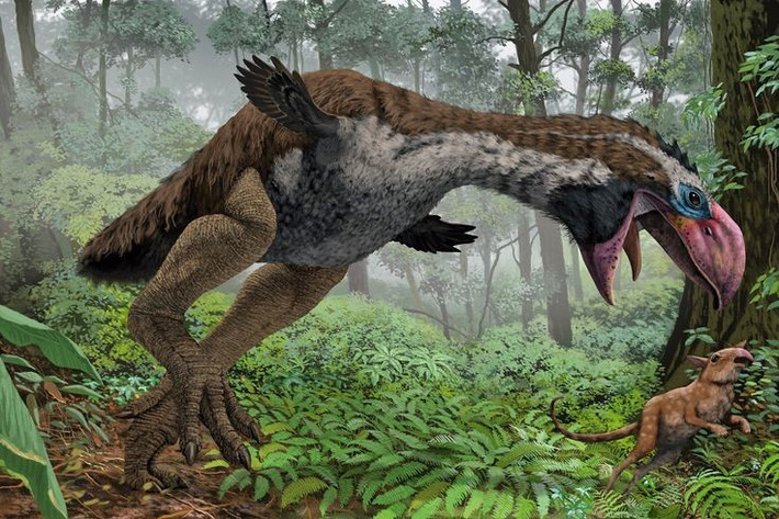 3. Từng bị xem là “chim ăn thịt khổng lồ”. Với ngoại hình dữ tợn, Gastornis trong nhiều năm được mô tả là loài chim săn động vật nhỏ, tương tự các loài “chim khủng bố” ở Nam Mỹ thời tiền sử. Ảnh: Pinterest.