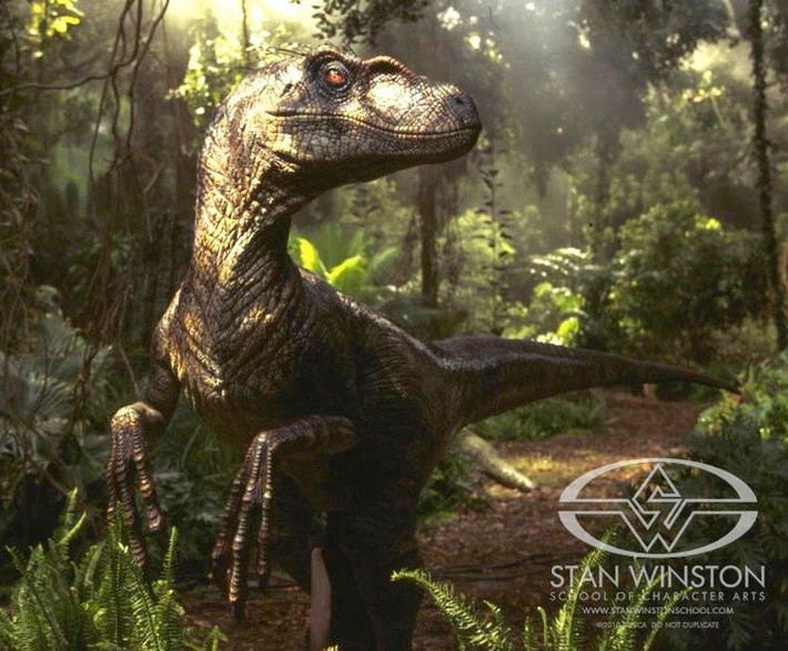 5. Là loài ăn thịt thông minh. Dựa trên cấu trúc hộp sọ, các nhà khoa học cho rằng Velociraptor có khả năng nhận thức khá tốt, giúp chúng săn mồi hiệu quả. Ảnh: Pinterest.