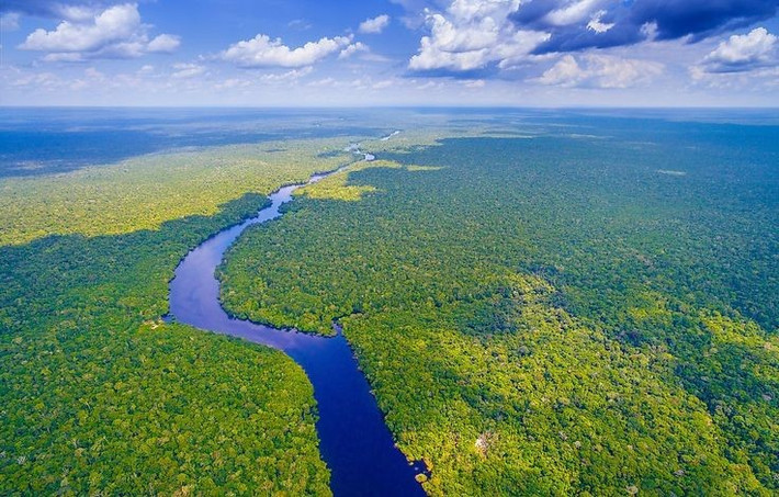 4. Chảy qua nhiều quốc gia Nam Mỹ. Sông Amazon bắt nguồn từ dãy Andes ở Peru, chảy qua Colombia và phần lớn lãnh thổ Brazil trước khi đổ ra Đại Tây Dương. Ảnh: Pinterest.