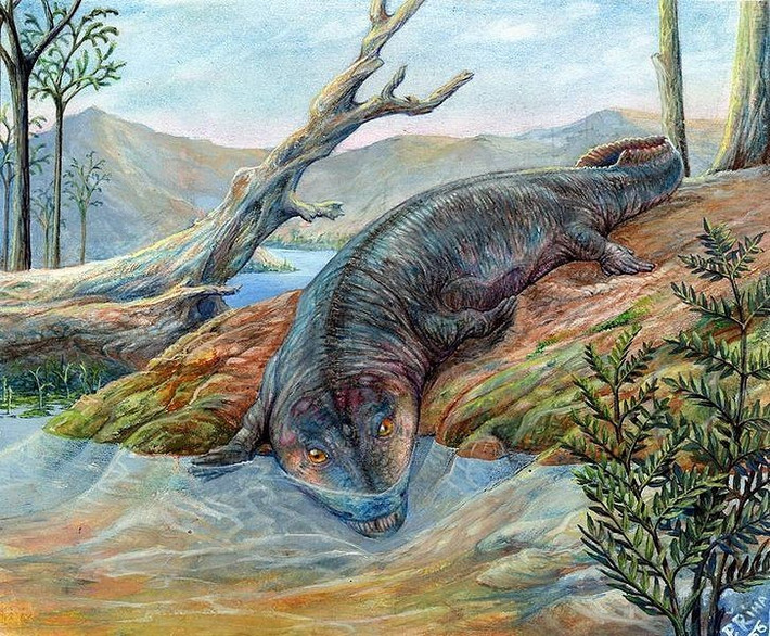 4. Sống chủ yếu trong môi trường nước. Dù có chân, Metoposaurus dành phần lớn thời gian trong sông, hồ và đầm lầy, chỉ lên cạn ngắn hạn. Ảnh: Pinterest.