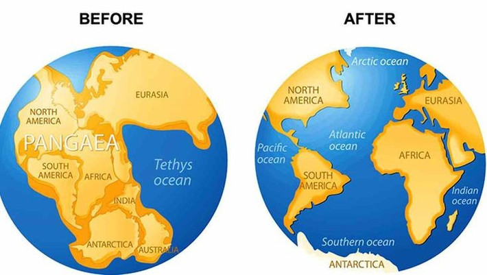 6. Ý tưởng về Pangea từng bị bác bỏ. Khi nhà khoa học Alfred Wegener đề xuất thuyết trôi dạt lục địa vào năm 1912, nhiều người cho là phi lý. Mãi đến thế kỷ 20 thuyết này mới được chấp nhận rộng rãi. Ảnh: Pinterest.