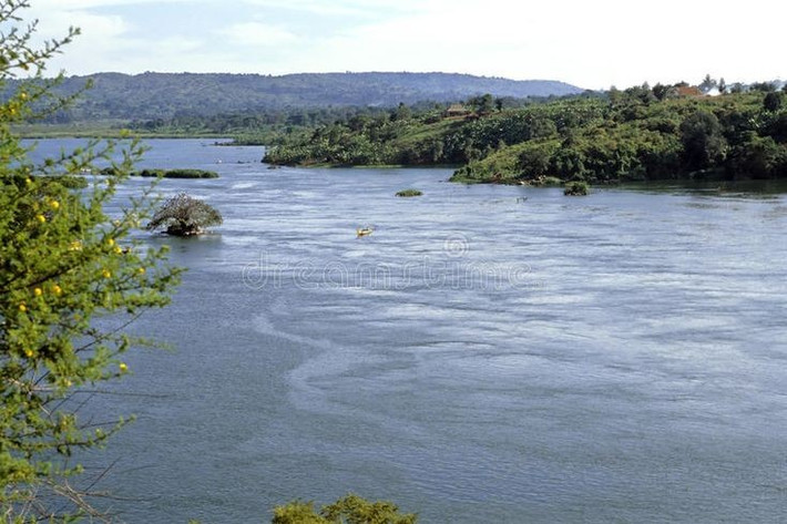 8. Độ dài thật sự của sông Nile vẫn còn gây tranh cãi. Một số nhà khoa học cho rằng sông Amazon có thể dài hơn, nhưng Nile vẫn thường được công nhận là con sông dài nhất với độ dài khoảng 6.650 km. Ảnh: Pinterest.