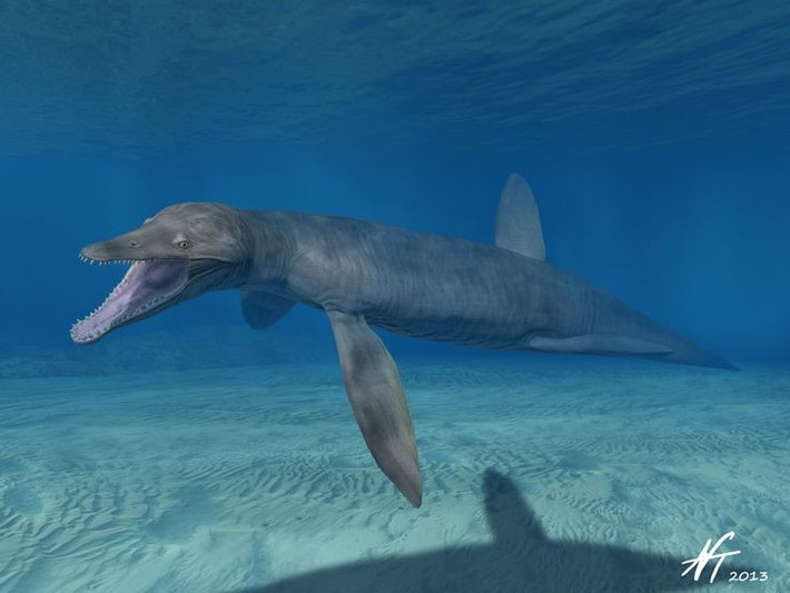 4. Hàm của chúng có lực cắn cực mạnh. Pliosaurus sở hữu lực cắn lên đến hàng chục nghìn newton – đủ để nghiền nát xương và mai của con mồi chỉ trong một cú đớp. Ảnh: Pinterest.