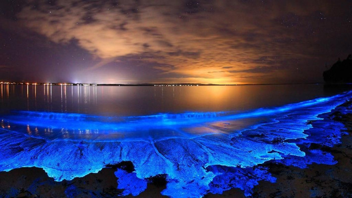  1. Sóng phát sáng do sinh vật phù du gây ra. Chủ yếu là tảo dinoflagellates phát ra ánh sáng xanh lam khi bị kích thích bởi sự chuyển động của sóng. Ảnh: Pinterest.