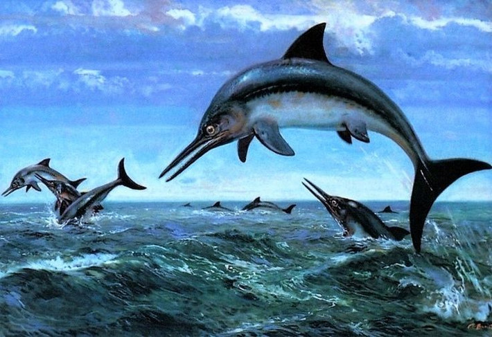 2. Sống trong kỷ Jura. Loài này xuất hiện và phát triển mạnh cách đây khoảng 200 triệu năm, cùng thời với các loài khủng long trên cạn. Ảnh: Pinterest.