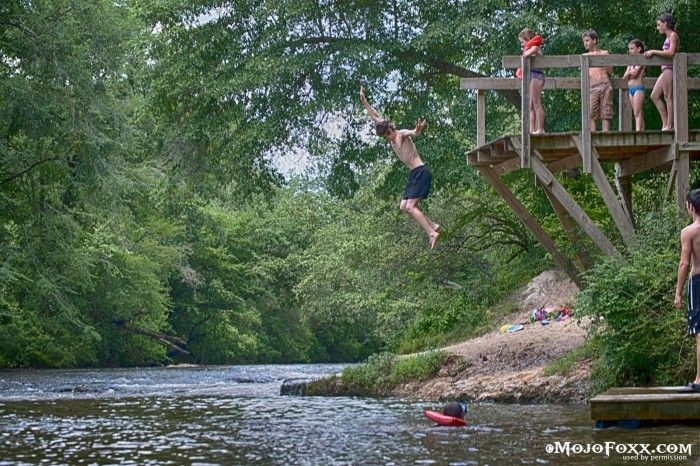 4. Hệ sinh thái phong phú. Sông Mississippi là nơi sinh sống của hơn 260 loài cá, hàng trăm loài chim và vô số động thực vật khác. Ảnh: Pinterest.