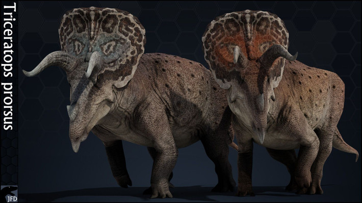 6. Từng bị nhầm là loài khác. Triceratops từng bị nhầm là một dạng trưởng thành của loài Torosaurus do hình dạng bờm xương khác biệt, nhưng nhiều nghiên cứu đã bác bỏ giả thuyết này. Ảnh: Pinterest.