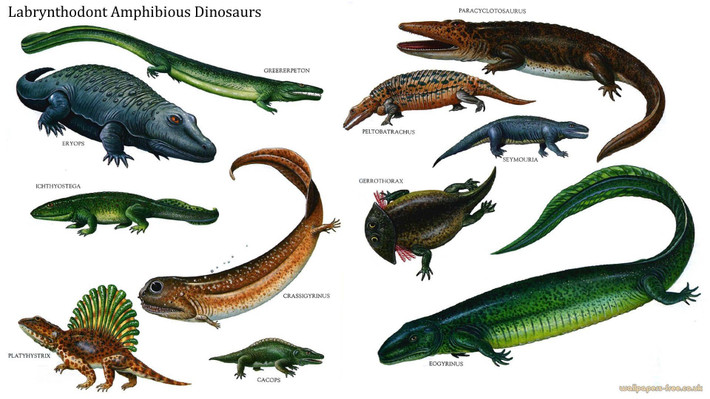 Hình dáng kỳ dị khiến chúng trở thành biểu tượng tiến hóa độc đáo. Gerrothorax là minh chứng cho sự đa dạng thích nghi của sinh vật lưỡng cư cổ đại trong môi trường nước ngọt. Ảnh: Pinterest.